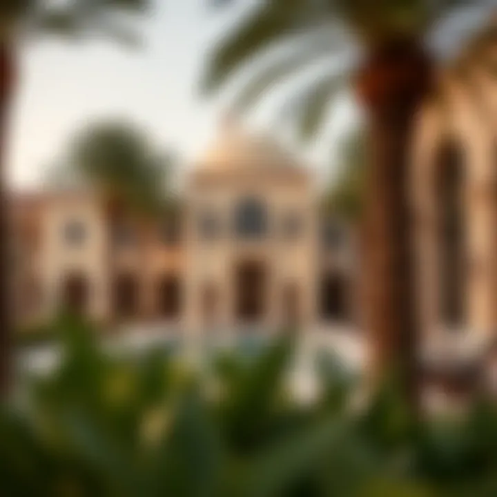 Magnificent An In-Depth Exploration of Polo Resort in Dubai