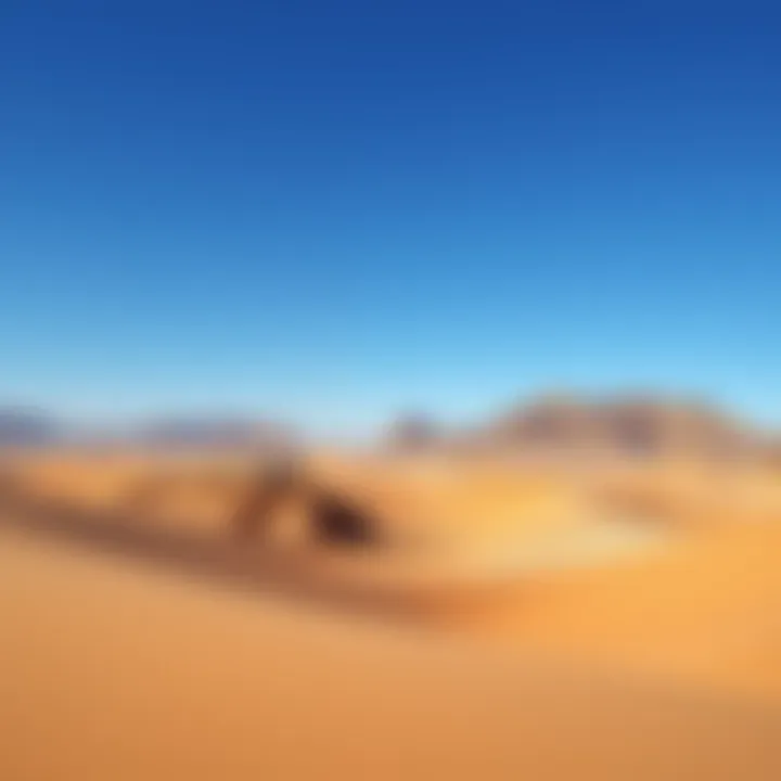 Magnificent Exploring Al Wadi Desert: A Comprehensive Insight