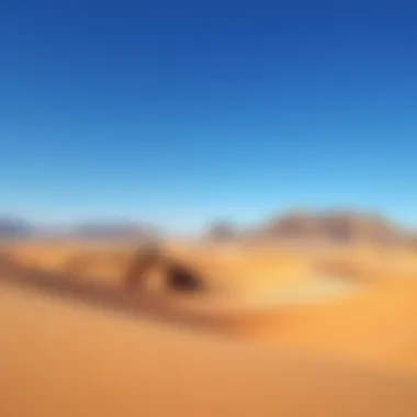 Magnificent Exploring Al Wadi Desert: A Comprehensive Insight Magnificent Exploring Al Wadi Desert: A Comprehensive Insight
