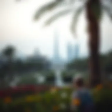 Magnificent Exploring Hamriya Park: A Green Oasis in Dubai Magnificent Exploring Hamriya Park: A Green Oasis in Dubai