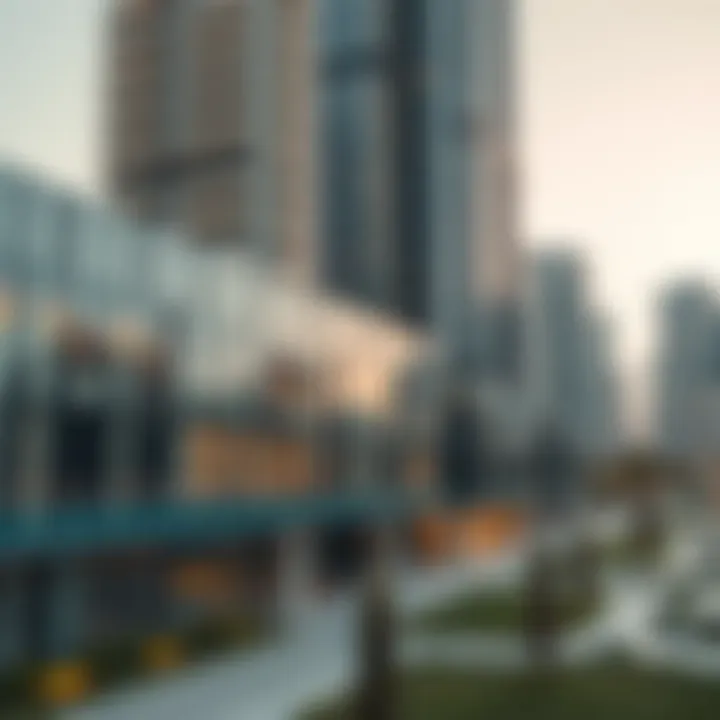 Magnificent Exploring the Dynamics of Agency Real Estate in Dubai
