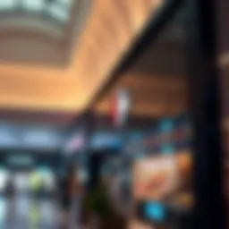 An In-Depth Exploration of Carrefour Deira-Fields: A Key Player in Dubai's Retail Landscape Introduction