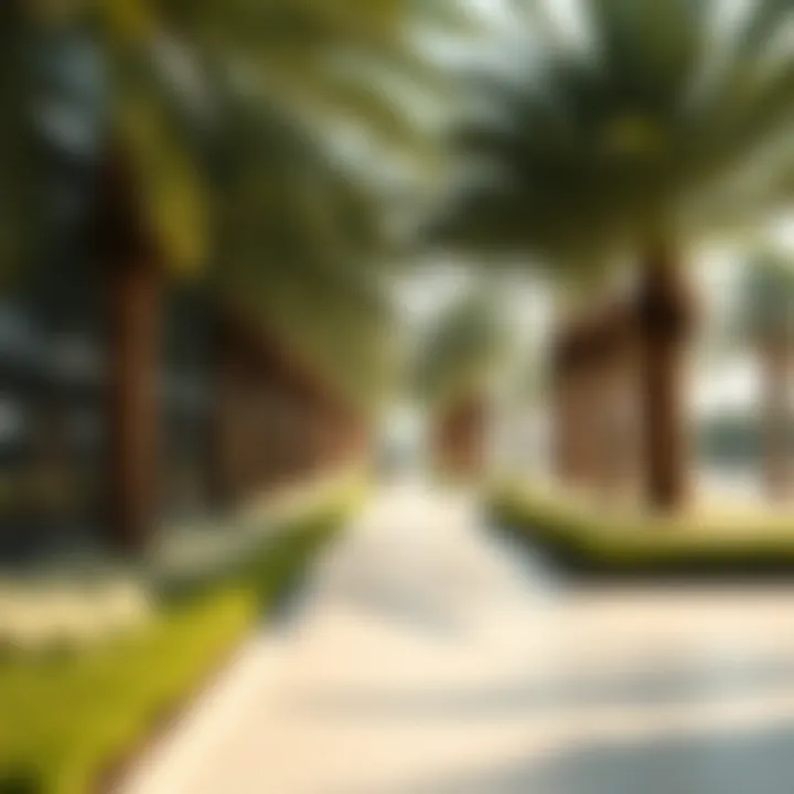 Notable Central Park Al Reem: An Insightful Exploration