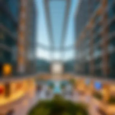 Comprehensive Examination of the Mira Community Center in Dubai Summary