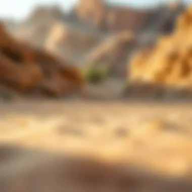Notable Exploring Al Wadi Desert: A Comprehensive Insight Notable Exploring Al Wadi Desert: A Comprehensive Insight