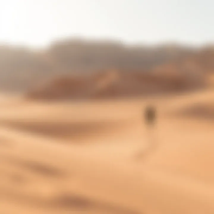Exploring Al Wadi Desert: A Comprehensive Insight Summary