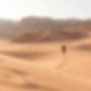 Exploring Al Wadi Desert: A Comprehensive Insight Summary Exploring Al Wadi Desert: A Comprehensive Insight Summary