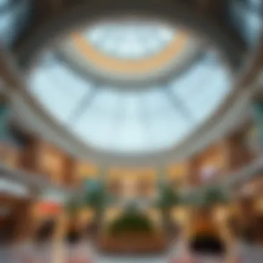 Exploring Chocolala Barsha Mall: A Comprehensive Analysis Summary