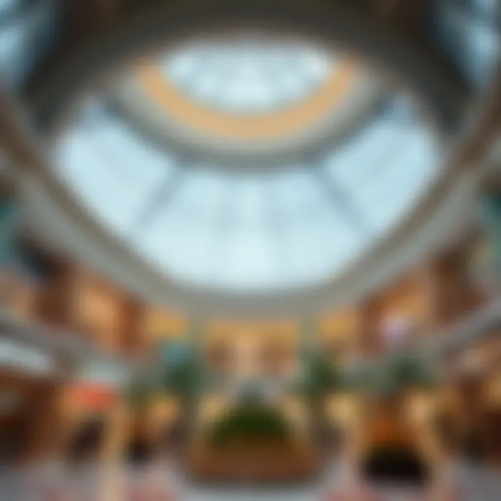 Exploring Chocolala Barsha Mall: A Comprehensive Analysis Summary
