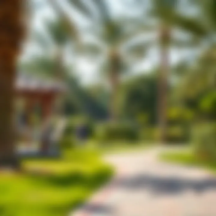 Exploring Hamriya Park: A Green Oasis in Dubai Summary