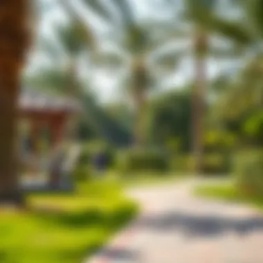 Exploring Hamriya Park: A Green Oasis in Dubai Summary Exploring Hamriya Park: A Green Oasis in Dubai Summary