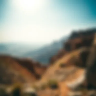 Panoramic view of diverse landscapes from a viewpoint on the trail