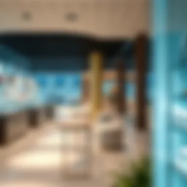 Exploring Marina View Life: The Intersection of Lifestyle and Pharmacy in Dubai Summary