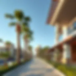 Exploring Pet Avenue in JVC: A Visual Journey Introduction