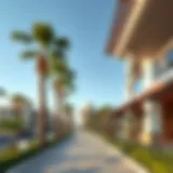 Exploring Pet Avenue in JVC: A Visual Journey Introduction Exploring Pet Avenue in JVC: A Visual Journey Introduction