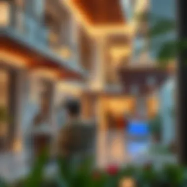 Exploring Pet Avenue in JVC: A Visual Journey Summary Exploring Pet Avenue in JVC: A Visual Journey Summary