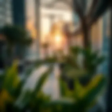 Sustainable features of a sky garden in an urban setting