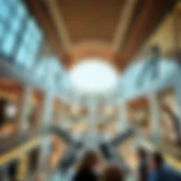 Exploring the Concept of Gallery Malls in Dubai's Real Estate Landscape Introduction