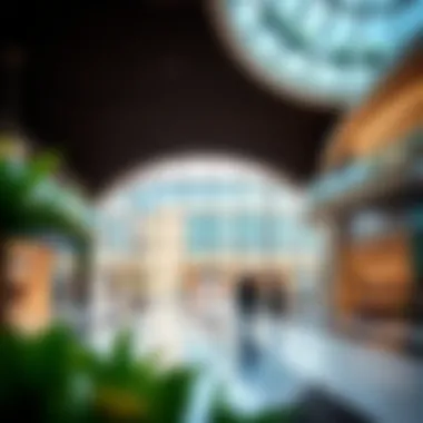 Exploring the Concept of Gallery Malls in Dubai's Real Estate Landscape Summary Exploring the Concept of Gallery Malls in Dubai's Real Estate Landscape Summary