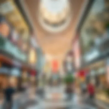 Exploring the Dynamics of Shopping Centers in Dubai Introduction