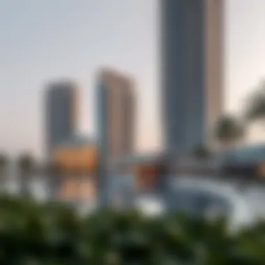 Exploring the Intricacies of Dubai World Island Summary Exploring the Intricacies of Dubai World Island Summary