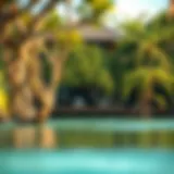 Exploring the Unique Ecosystem of Mangrove Beaches Introduction