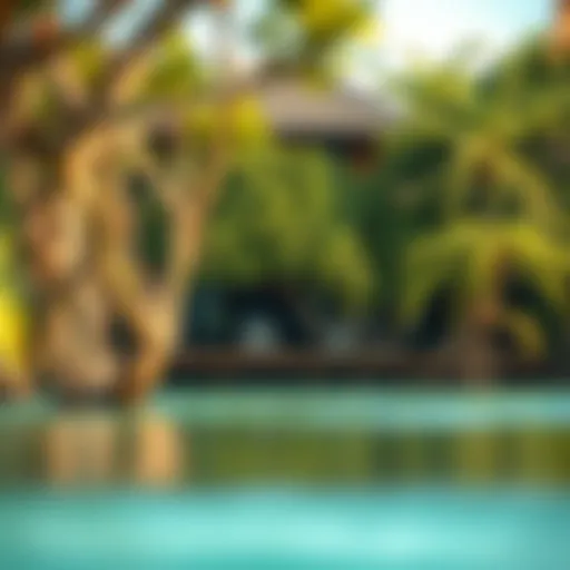Exploring the Unique Ecosystem of Mangrove Beaches Introduction