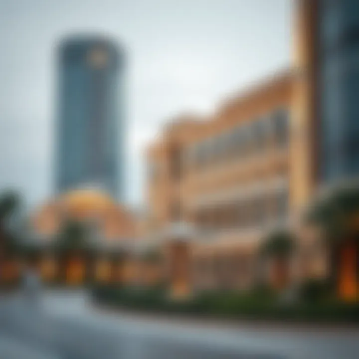 The Visual Appeal of Al Sufouh Park: A Photographic Exploration Summary